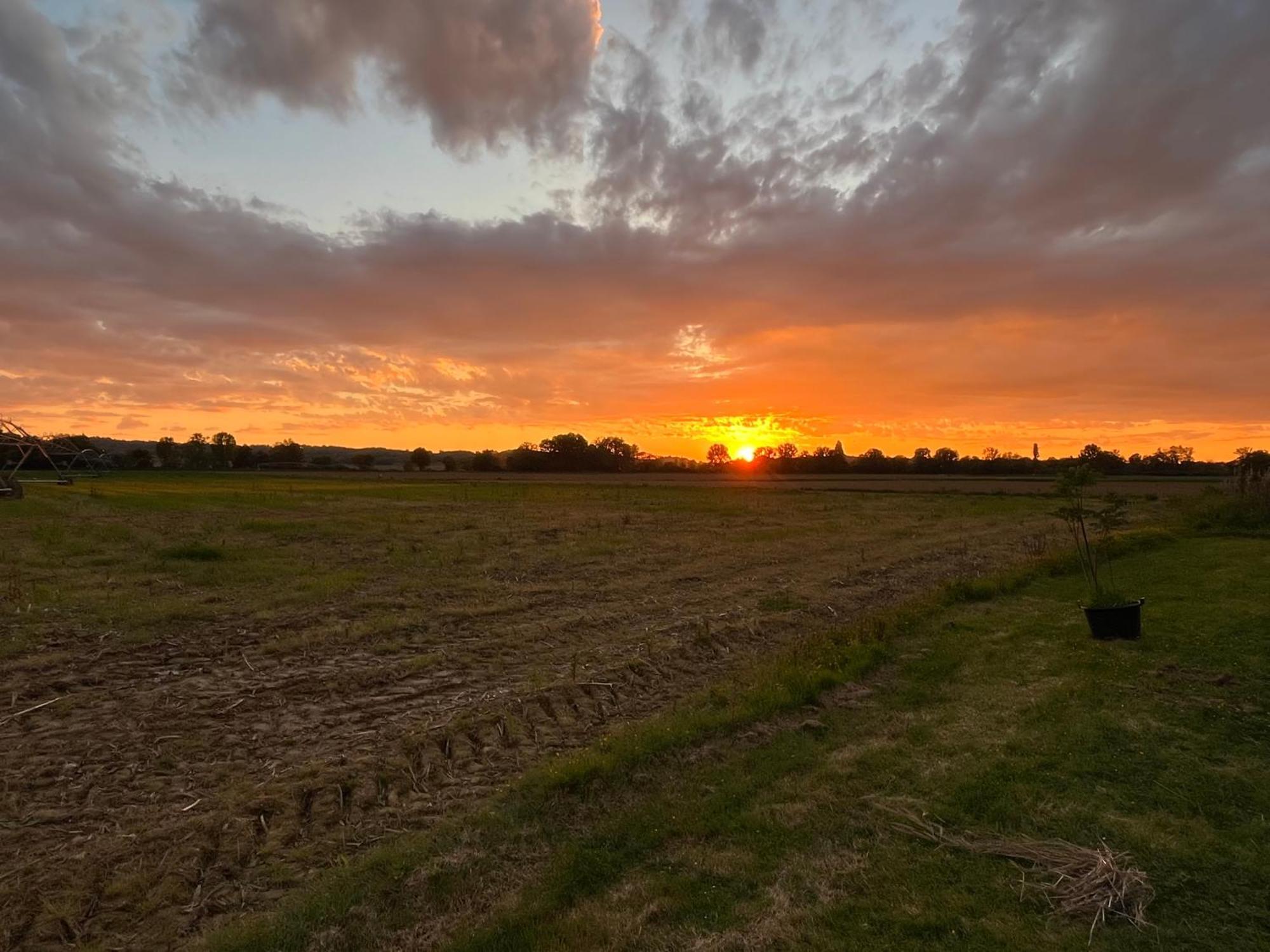 Gite 1, Domaine Logis Gascogne Saint-Justin  ภายนอก รูปภาพ