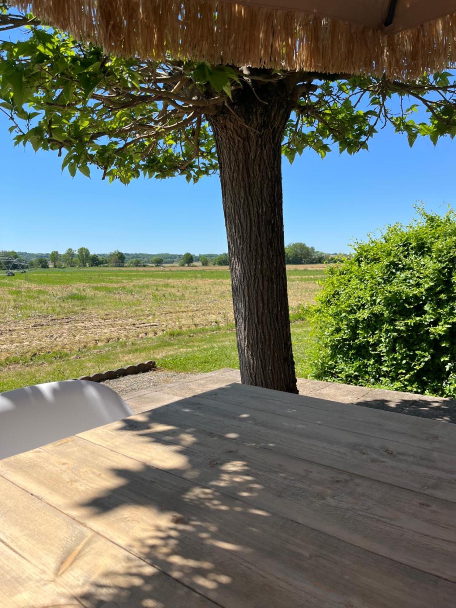 Gite 1, Domaine Logis Gascogne Saint-Justin  ภายนอก รูปภาพ